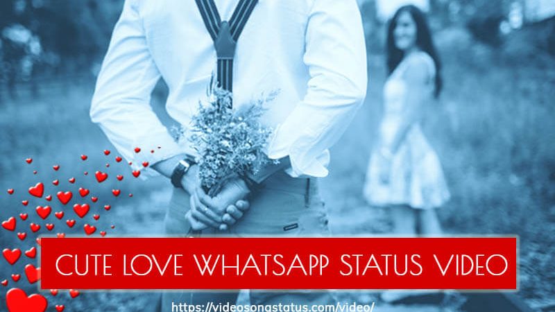 Download Beautiful Love Whatsapp Status Video free