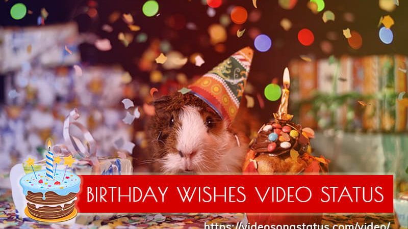 Download Birthday Wish Status Video For Whatsapp Free