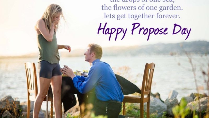 Download Cute Proposal For Gf Bf Status Video Download Free