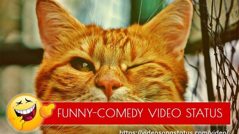 Download Funny-Comedy-Whatsapp-Status-Video Free
