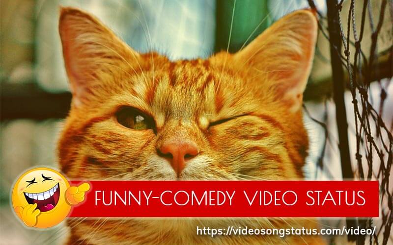 Download Funny-Love-Moment-New-Status-Video Free ...