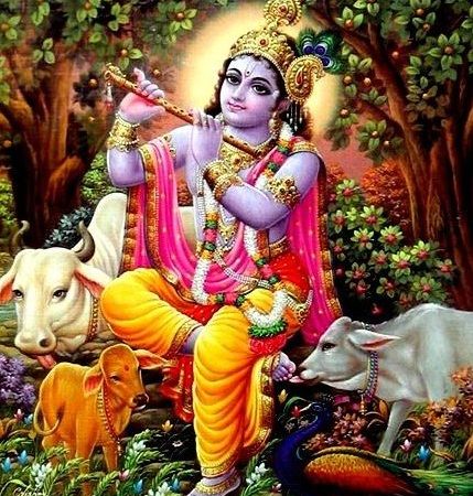 Download Guru Govinda God Krishna Status Video Free