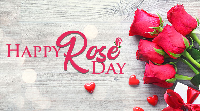 Download 7 February 2019 Happy Rose Day Whatsapp Status Free