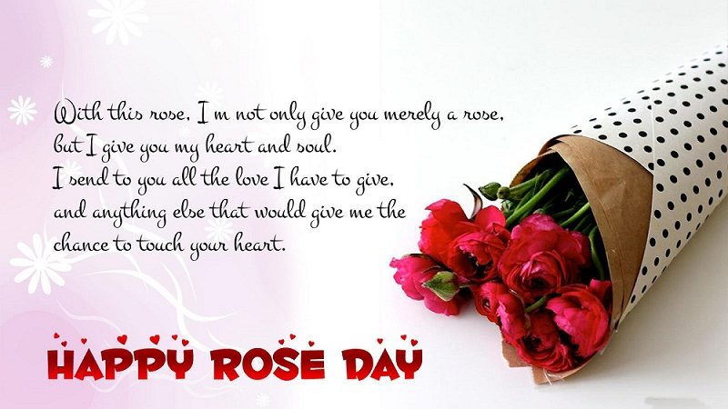 Download Best Rose Day Special Video Whatsapp Status In Hindi Message Free