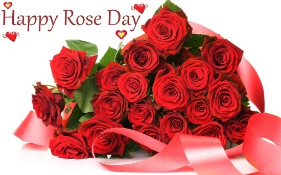 Download Happy Rose Day In Hindi Lovely Rose Day Special Whatsapp Status Video Free