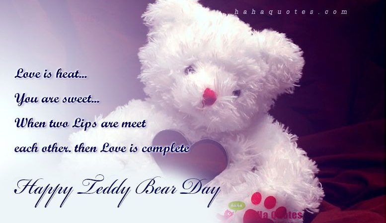 Download Happy Teddy Day Special Best Teddy Day Video Status For Whatsapp 2019 Free