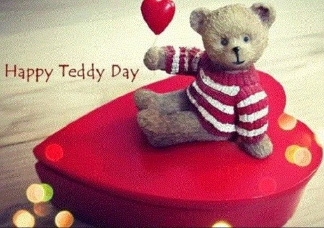 Download Romantic Teddy Day Status Video Download Free