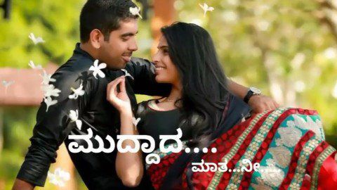 Download Roovaariye Kannada Video Song Free