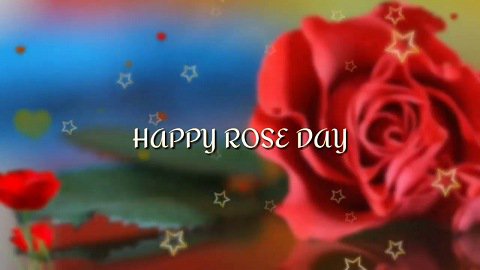 Download Rose Day Special Whatsapp Status Video Free
