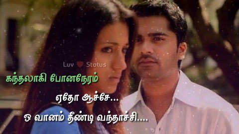 Download Tamil   Love Antha Neram Luv Whatsapp Status Free