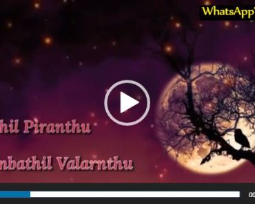 Download Tamil Motivation Video Status Status Video Free