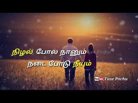 Download Tamil   Poovea Sempoove Whatsapp Video Status Free