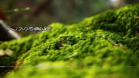 Malayalam Evergreen Song Whatsapp Status