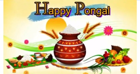Pongal Special WhatsApp Status Video Download