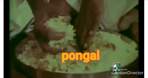 Pongal Status Video For Whatsapp