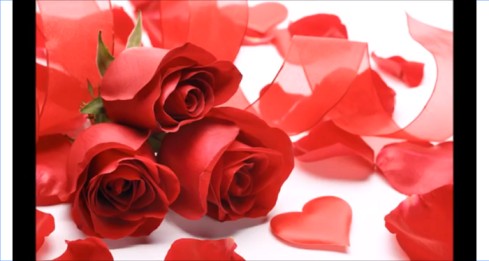 Will You Be My Valentine – Valentine Day Whatsapp Status Video