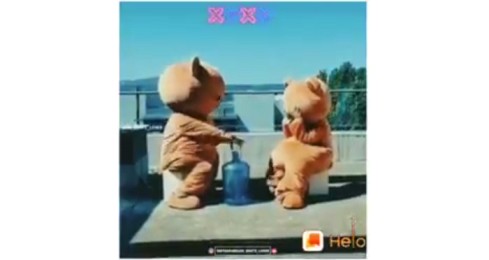 Cute Teddy Day Love Whatsapp Status Video
