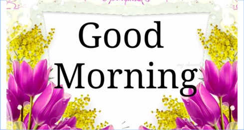 Good Morning Status Good Morning Video Good Morning Shayari