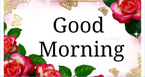 Good Morning Whatsapp Status Good Morning Whatspp Shayari