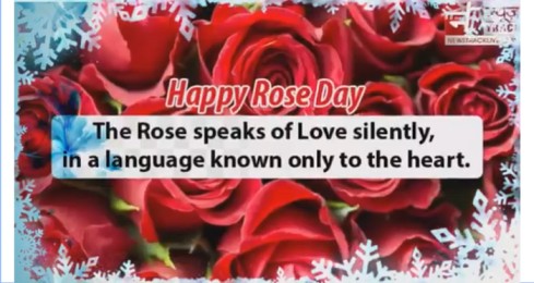 Happy rose day special video rose Rose day status video rose Happy rose day video Happy rose day song