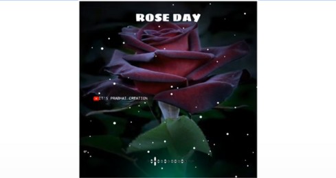Happy Rose Day Whatsapp Status Video