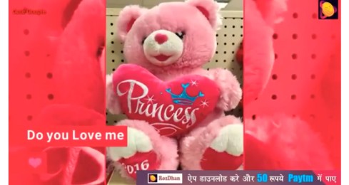 Jaanu Do You Love Me – Teddy Day Status Video