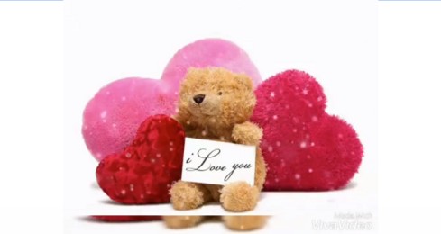 Valentine Day Special Whatsapp Status – Happy Teddy Day