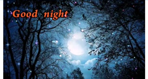 Very Sweet Good Night Status Video