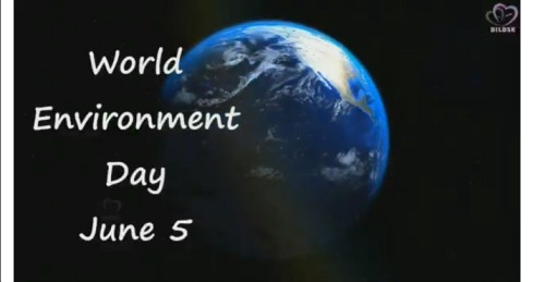 World Environment Day 2020 Status Download