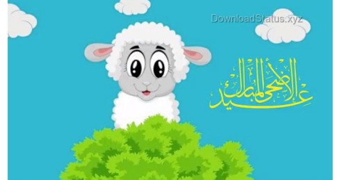 Eid Mubarak 2020 Eidul Azha Mubarak Status Video