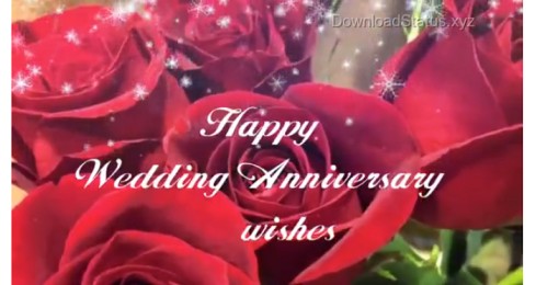 Happy Wedding Anniversary Wishes Greeting Status Video
