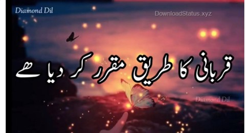 New Eid Ul Adha Wish – Eid Mubarak Whatsapp Status Video