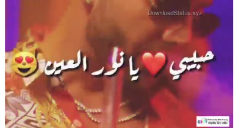 Habibi El Nour El Ain – Arabic Song Whatsapp Status Video