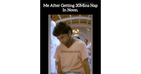 Me After Getting 30 Minutes Nap in Noon - Funny Whatsapp Status Video