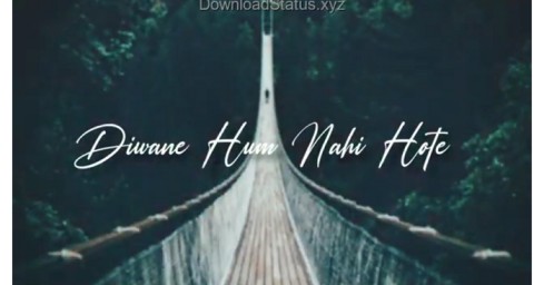 Diwane Hum Nahi Hote Diwani Raat Atii Hai – Good Night Whatsapp Status