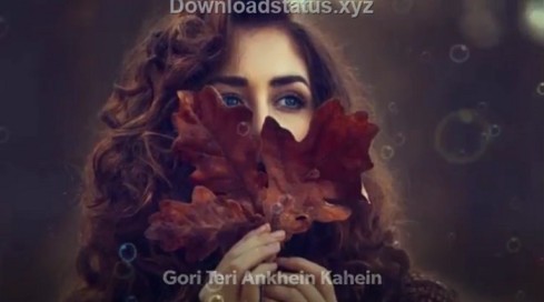 Gori Teri Aankhen Kahen – Sad Whatsapp Status Video