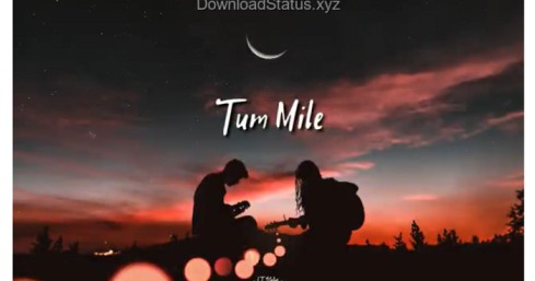 Tum Mile Dil Khile – Love Whatsapp Status Video