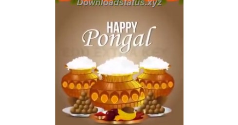 Download Pongal Whatsapp Video Status