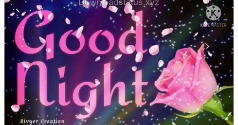 Good Night Wishes – Good Night Whatsapp Status