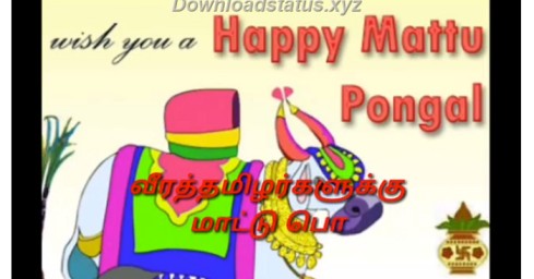 Happy Mattu Pongal Status In Tamil