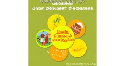 Happy Pongal Special Whatsapp Status Download
