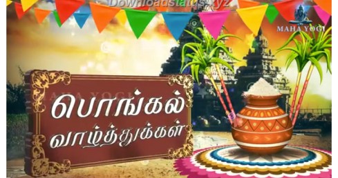 Happy Pongal Special Whatsapp Status Video Download