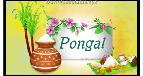 Happy Pongal Special Whatsapp Video Status