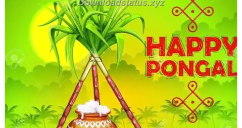 Happy Pongal Whatsapp Video Status 2021