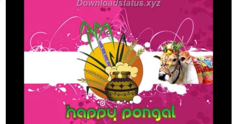 Mattu Pongal Special Whatsapp Status In Tamil