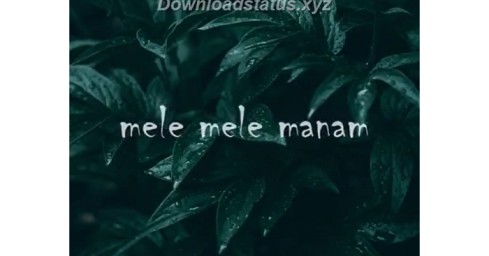 Mele Mele Maanam Malayalam Status Video