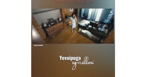 Neevevvaro Song – Telugu Whatsapp Status Video