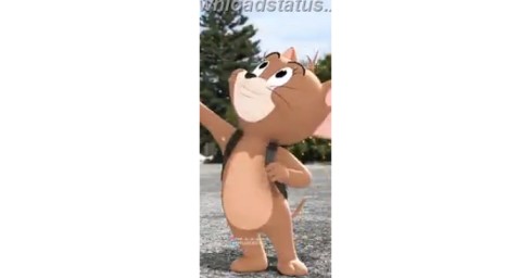 Pachai Kiligal Tholodu Tom And Jerry – Friendship Whatsapp Status Video