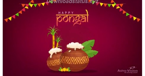 Pongal Celebration Whatsapp Status Video