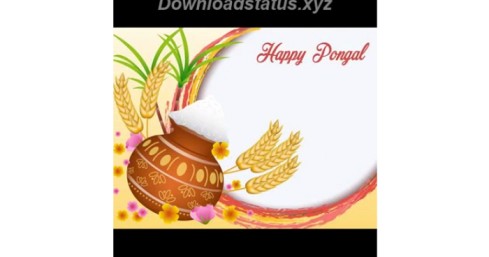 Pongal Special Whatsapp Status